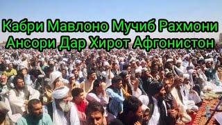 Кабр Ва Чанозаи Мавлоно Мучиб Рахмони Ансори Дар Хироти Афгонистон