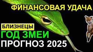 БЛИЗНЕЦЫ ПРОГНОЗ НА 2025. ГОД ЗМЕИ. ЗАРАБАТЫВАТЬ 