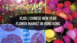 A Daily Vlog: HK Chinese New Year Flower Market / sillyfacealice