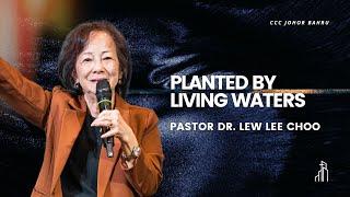 Planted By Living Waters | Pastor Dr. Lew Lee Choo | 01 Dec 2024