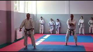 Tekki Nidan/Sensei Goran Krsmanovic & Sensei Nenad Vucicevic (Serbia) #fudokan #shotokan