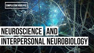 An Introduction to Neuroscience and Interpersonal Neurobiology (Video Nº 6, Series #1)