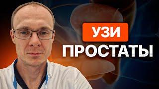 УЗИ простаты. УЗИ предстательной железы. ТРУЗИ. Врач уролог-андролог. Москва.