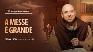 A messe é grande | (Lucas 10, 1-9) #2137