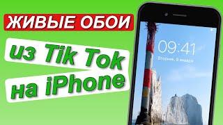 Как ПОСТАВИТЬ ЖИВЫЕ ОБОИ ИЗ ТИК ТОКА НА АЙФОН | Живые обои на iPhone