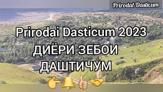 ДИЁРИ ЗЕБОИ ДАШТИЧУМ 2023(DIÈRI ZEBOI DASTICUM 2023)#даштичум#топ#природа