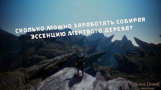 Сколько можно заработать собирая эссенцию мертвого дерева? | Black Desert Online