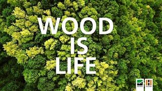 Wood is Life: WEINIG Group