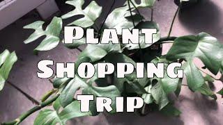 Plant Shopping Nursery Tour Hoyas Orchids Philodendrons Indoor Outdoor Tropical  Your Farm & Garden