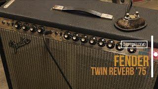 Fender Twin Reverb 1975 Silverface | Playthrough Demo