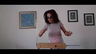 Anca Bold Martin - theremin - Frederic Chopin Prelude in E Minor