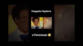 Уловки Норбита  Свадьба #свадьба  #кино #music #фильм #подпишись  #горько #юмор #фильмы