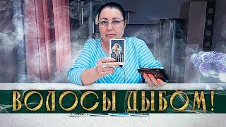 ВОЛОСЫ ДЫБОМ, ДУША НАРУЖУ! ЧТО ОН УЗНАЛ ПРО ВАС?