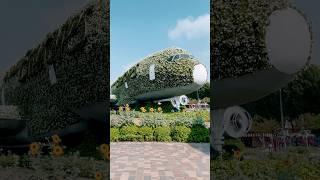 Dubai Miracle Garden  #Dubai #Travel #Travelling #TravelVlog #TrendingShorts #ViralShorts #Shorts