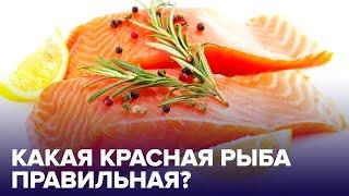 Форель, семга, лосось, горбуша – какая КРАСНАЯ РЫБА самая полезная?