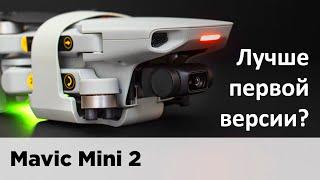 Обзор Mavic Mini 2. Тест камеры и дальности.