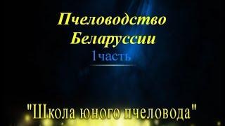 Фильм: Секреты мастерства пчеловода Г.М. Михейкина 75-летним пчеловождением полная версия.