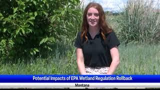 Clean Water Act Wetlands Short