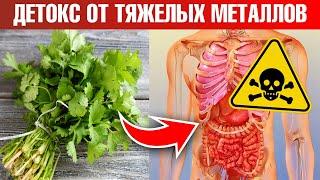 Тяжелые металлы в организме  безопасный детокс