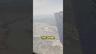 Vanished in the Sky #culture #discovery #educationalcontent