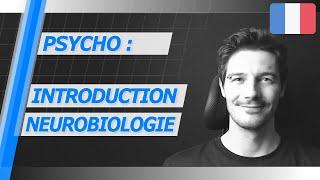 🟢 PSYCHO : La Neuro-Biologie en Trading (TL#7)