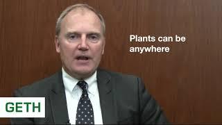 How much land does a GreenEnviroTech plant need?