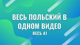 Весь польский в одном видео. Весь А1. Польские диалоги. Польский с нуля. Польский язык.