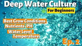 Deep Water Culture (DWC) Hydroponics For Beginners Ep. 2 - Best Grow Conditions (System Setup)