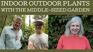 Indoor outdoor plants: a collaborative video with The Middle-Sized garden