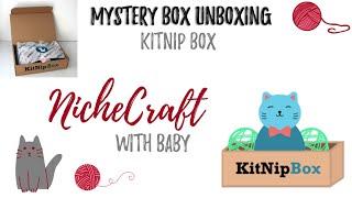 Kit Nip Pet Subscription Box Unboxing | Baby gets to be a YouTube Cat| NicheCraft