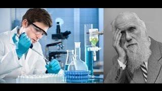 NephilimFree refutes a PhD biologist in debate
