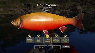 Голец Куорский ТРОФЕЙ Russian Fishing 4