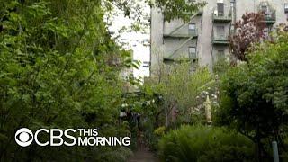 Community gardens decorate New York City's urban landscape
