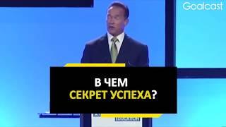 Правила успеха от Арнольда Шварценеггера