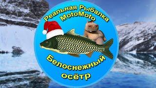 Как поймать Белоснежного осетра на Ледяном озере [АРХИВ] | Реальная Рыбалка