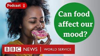 Is there a link between our gut and mental health? - CrowdScience podcast, BBC World Service