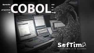 COBOL in 2024 Why It's Your Next Programming Language