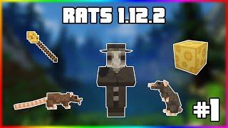 Гайд по Rats 1.12.2 #1 Основы