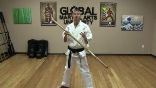 Beginner Bojutsu Combo with Bamboo Staff