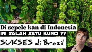 Di sepelekan di Indonesia ??Ternyata ini kunci sukses pertanian BRAZIL Selama ini