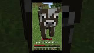 Minecraft, But I can only speak French