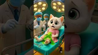Cute cat eat danger fruit  #catoftiktok #catlover #viralvideo #shorts