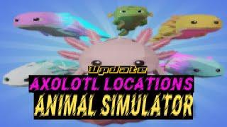  Axolotls Locations  In Animal Simulator 