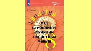 П10 СТРОЕНИЕ И ФУНКЦИИ СКЕЛЕТНЫХ МЫШЦ БИОЛОГИЯ 8 КЛАСС, АУДИОУЧЕБНИК, СЛУШАТЬ ОНЛАЙН АУДИО