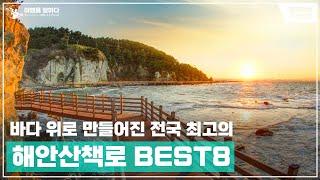 전국 최고의 해안산책로 BEST8 추천 | 국내여행 꼭 가볼만한곳 | 대한민국의 산책 명소 해안 둘레길 명소