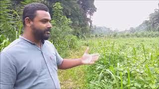 Land Inspection for New Passion Fruit Cultivation | Laymens Den Agro Business (Pvt) Ltd