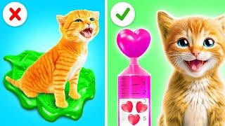 Cute Cats Hacks For Pet Lovers  *Amazing Kitten Ideas To DIY*