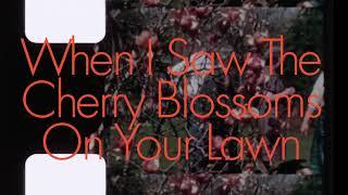 Nick Costa - Cherry Blossom (Official Lyric Video)