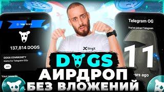 DOGS - ПОЛУЧИ БЕЗ ВЛОЖЕНИЙ ТОКЕНЫ DOGS | НОВАЯ ТАПАЛКА - ПОКА HAMSTER KOMBAT