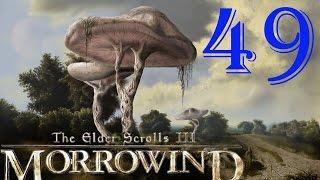 [49] TES III Morrowind  [Fullrest Repack v.1,4] Шишара